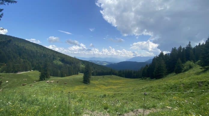 Kurztrip an den Waginger See